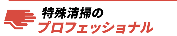 特殊清掃のプロフェッショナルです